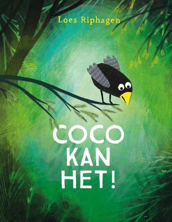 Prentenboek Coco Kan Het